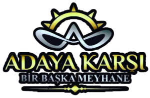 Adaya Karşı
